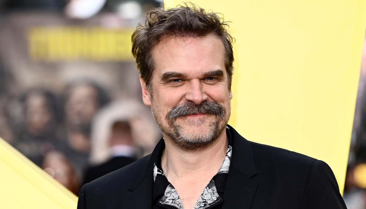 David Harbour 'loses temper' in bizarre argument after Lilly Allen drama