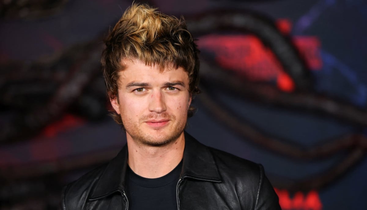 'Stranger Things' original season one script about Steve shock fans