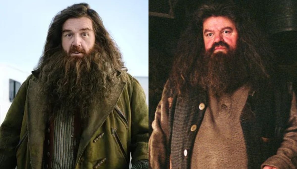 Nick Frost reveals bizarre way he received ‘Harry Potter’ role