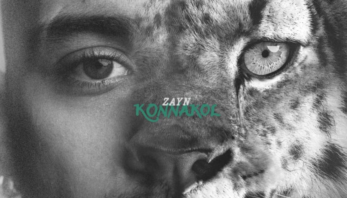 Zayn Malik takes solo career to new heights with 'Konnakol Tour'