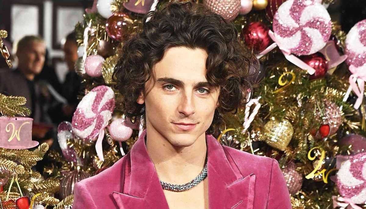 Timothee Chalamet’s ‘Wonka 2’ update divides fans