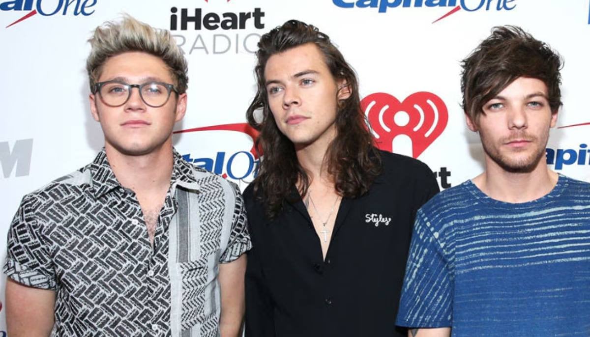 Niall Horan gets candid about Harry Styles' demand: 'I want longevity' 