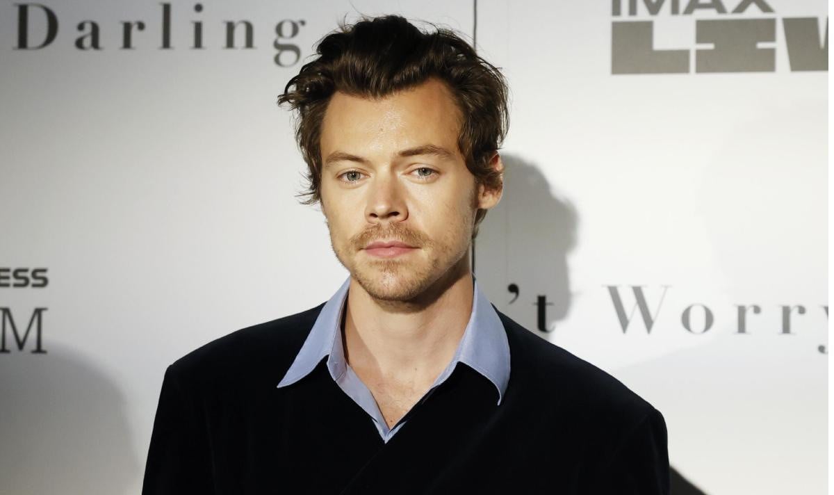 Harry Styles shares surprising truth about life after fame break