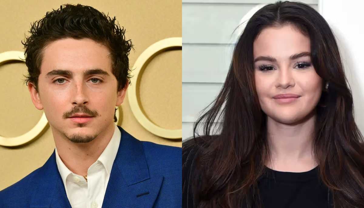 Timothee Chalamet, Selena Gomez starrer animation disappoints fans