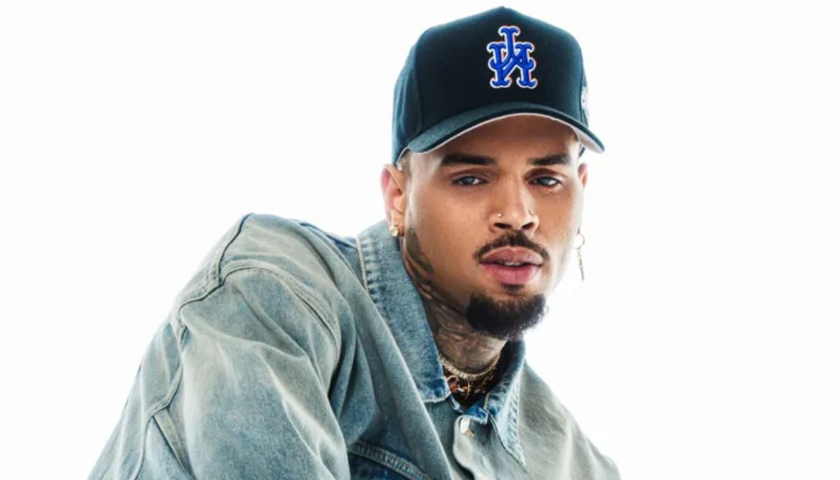 Chris Brown returns to stage in Nashville days after guilty plea