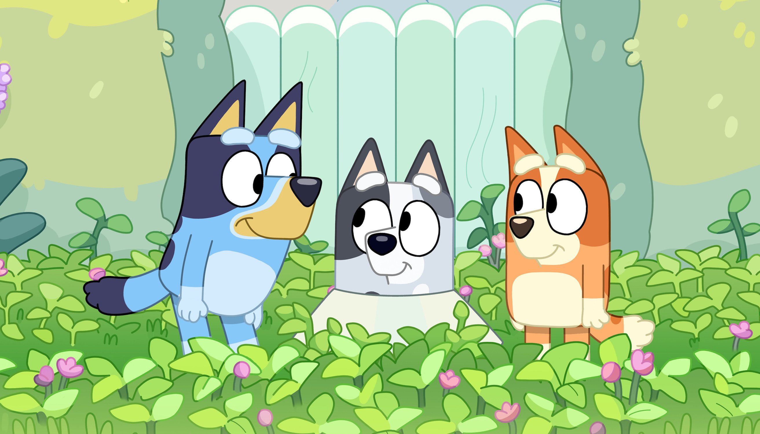 Bluey season 3 episodes How to watch, where, + more