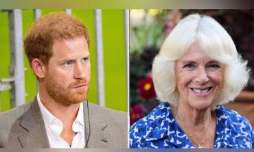 Royal biographer speaks up on Prince Harry for alleged mistreatment with Camilla
