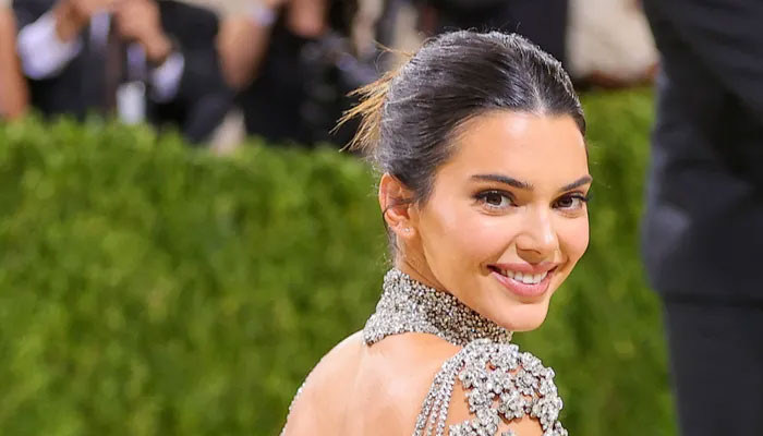 Kendall Jenner flaunts her tiny Mui Mui bra and skirt set: In Photos