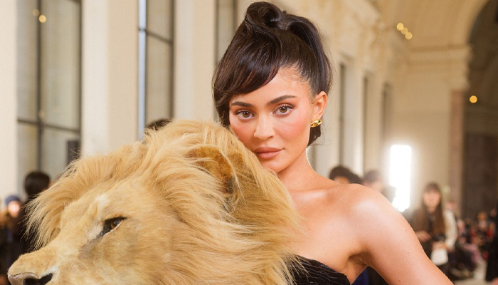Kardashian critics make fun of Kylie Jenners hot dog lips in recent update