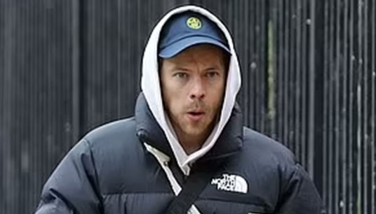 the north face jacket padded