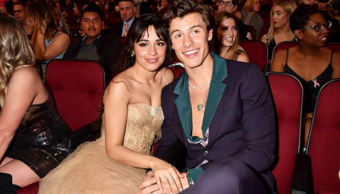 Camila Cabello, Shawn Mendes feelings for one another flooded back following breakup