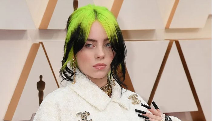 Billie Eilish went off at haters via her Instagram Stories last month
