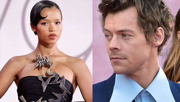 Harry Styles and Taylor Russell stroll in Vienna.