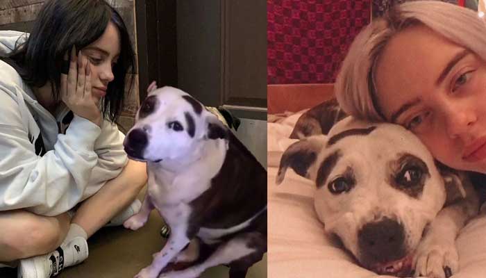 Billie Eilish mourns passing of 15-year-old dog Pepper