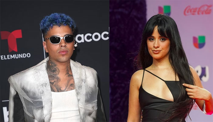 Romance Brewing? Camila Cabello and Rauw Alejandro linked.