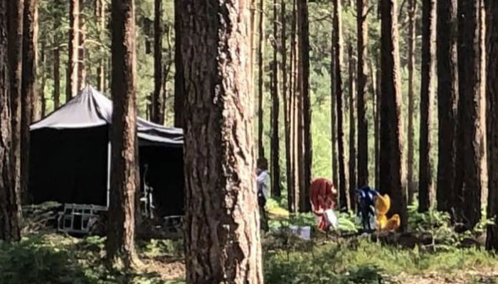 Courtesy of the Filming in Bourne Woods Farnham Facebook group.