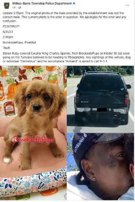 Police quickly discovered that they had made a mistake by confusing the Money Longer singer with the genuine culprit, who also had face tattoos