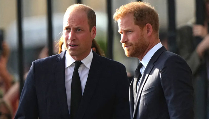 Prince William fumes on Prince Harry for not renouncing his deal with Netflix ahead of new release of The Crown