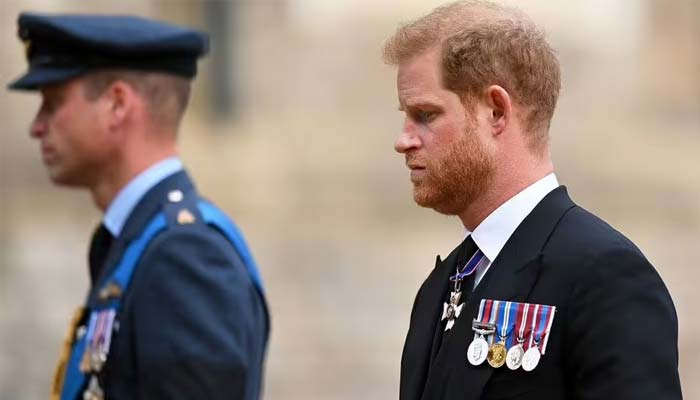 Prince Harry more prone to watch The Crown season 6 than Prince William