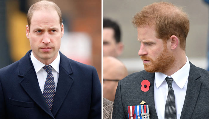 Prince William reportedly wanted to come to terms with Prince Harry before the Endgame scandal