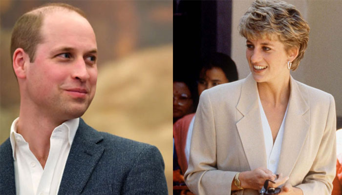 Prince William reminiscents Princess Diana during his volunteering services with The Passage