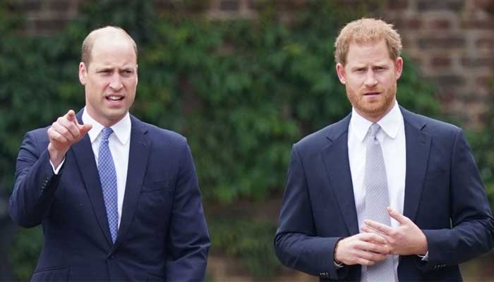 Prince Harry and William urged to ‘set aside feud’ for King Charles