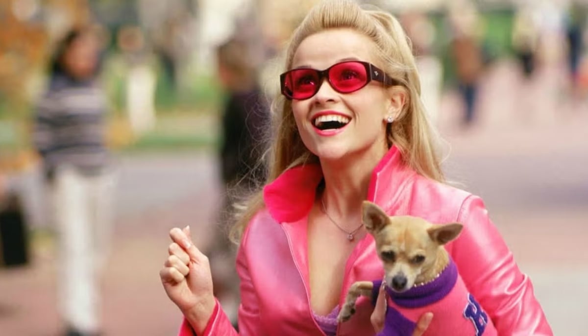 With Legally Blonde 3 in development and Elle set to begin filming soon, it looks like Elle Woods’ legacy is far from over!