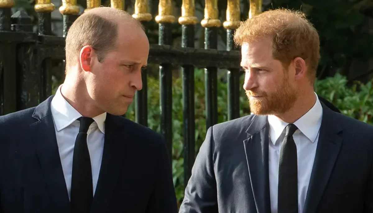 A former aide shared insight into the strained relationship between the brothers, Prince William and Prince Harry