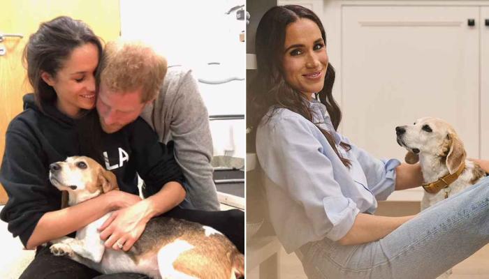 With Love, Meghan is dedicated to Guys memory