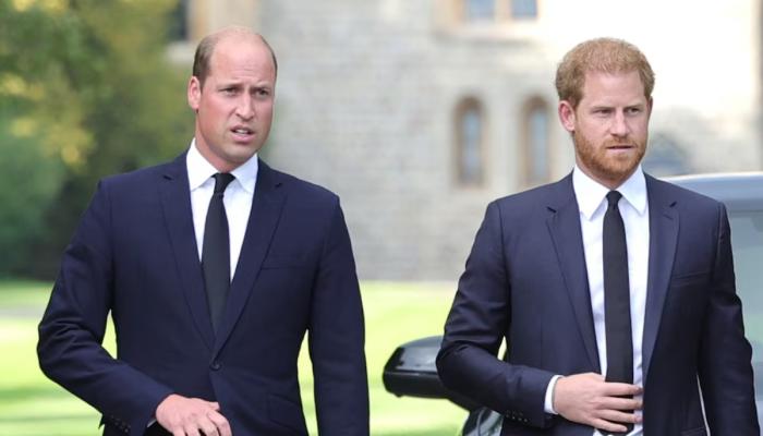 Afua Hagan suggested that Prince William may have to reconcile with Prince Harry—whether he wants to or not