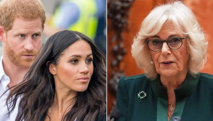 Harry branded Camilla dangerous in his 2023 memoir Spare