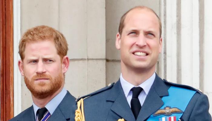 Prince Harrys brutally honest views on Prince William: My arch nemesis