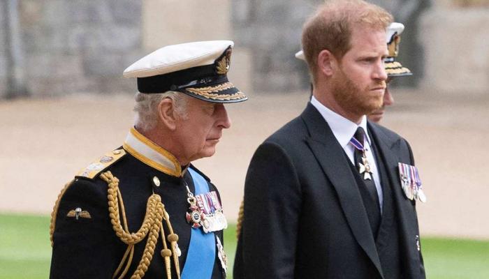 Prince Harry makes shocking admission about royal family amid security row