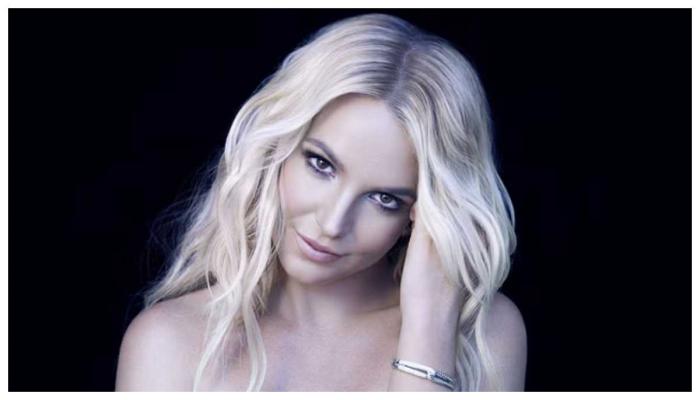 Britney Spears steps out with bizarre luggage
