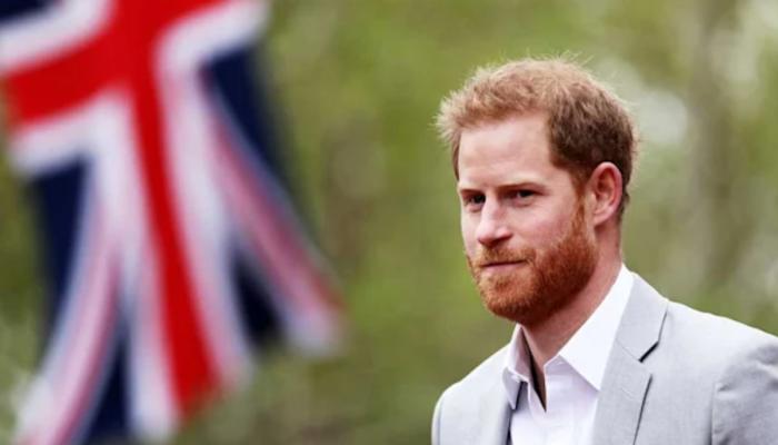 Prince Harry filed a legal challenge against the Home Office, arguing that the decision puts his family at risk