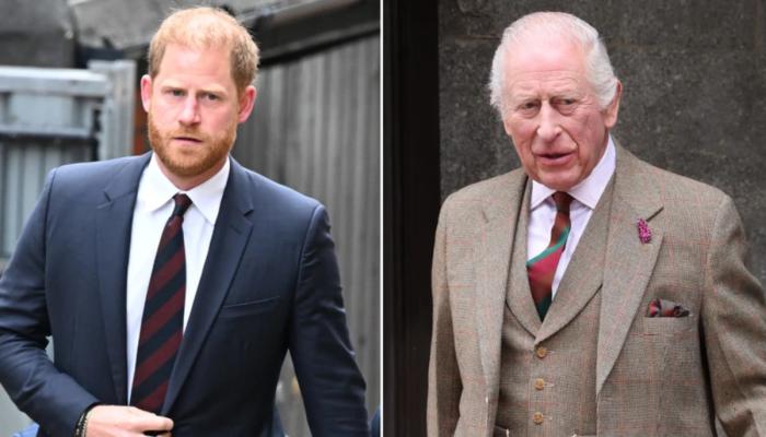Prince Harry too legally risky for King Charles to meet amid court battle