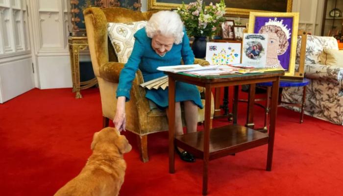 Queen Elizabeths savage clapback after one royal insulted her corgis