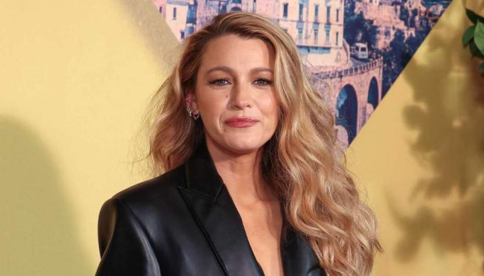 Blake Lively had quietly filed a lawsuit in September 2024 through her company, Vanzan