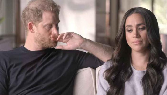 Prince Harry and Meghan Markle agreed to stop using Royal in their branding back in 2020