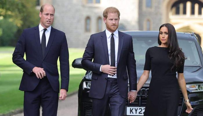 Meghan Markle, Prince Harrys HRH titles in jeopardy as William wont stand for it