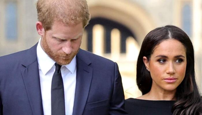 Meghan Markle, Prince Harry agreed to renounce public funding, withdraw from the Royal Rota media system