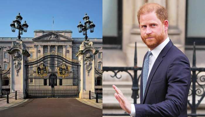 Buckingham Palace breaks silence over Prince Harrys security case verdict