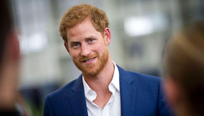Which other royals do not get the protection that Prince Harry is fighting for?