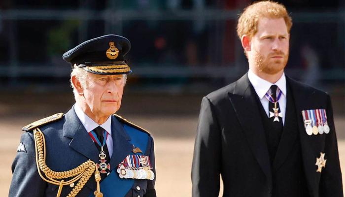Prince Harry joins King Charles in bid to honour veterans on VE Day