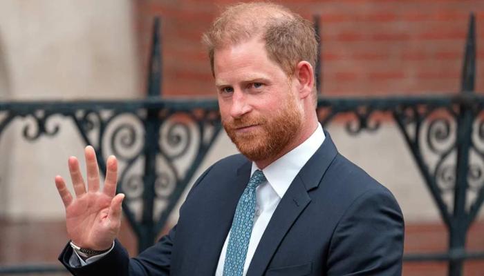 Prince Harry joined African Parks as president in 2016 before being appointed to its board in 2023