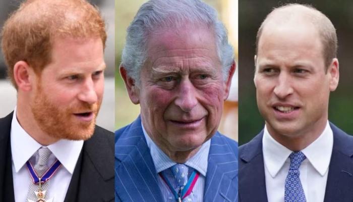 Prince William, King Charles to present united front after Harrys explosive interview