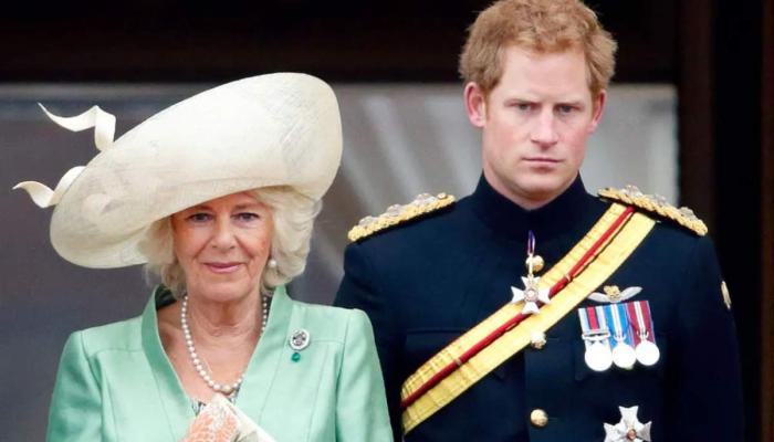 Prince Harry referred to Camilla, now 77, as the Other Woman, a title that highlighted their deep emotional rift