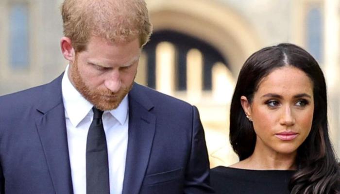 Meghan Markle and Prince Harry are executing a professional “separation” by splitting their staff and running individual ventures