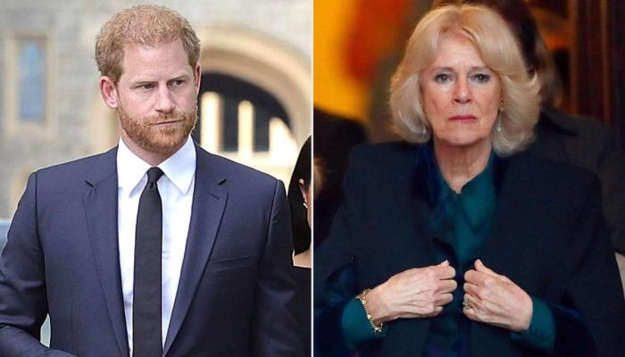 How Queen Camilla responded to Prince Harry as royal feud heats up