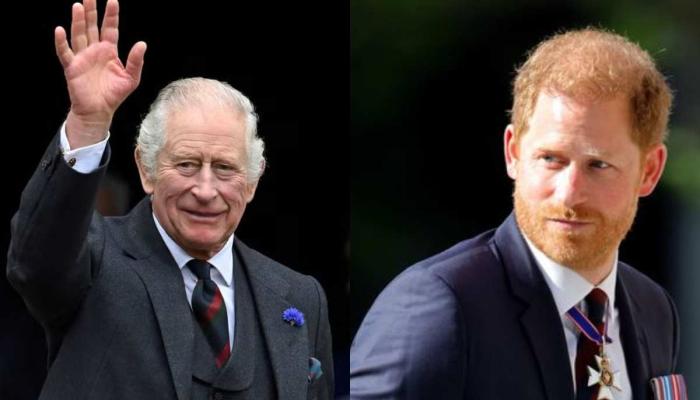 King Charles beams in first royal engagement after Harry fuels royal feud